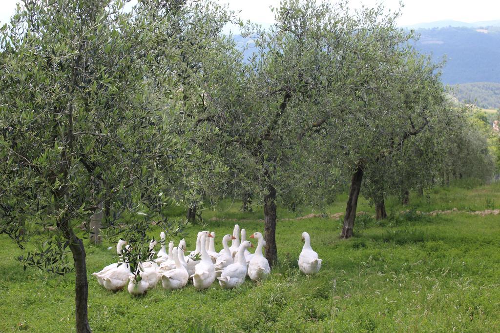La Corte Dei Banchetti Гуальдо-Каттанео Экстерьер фото